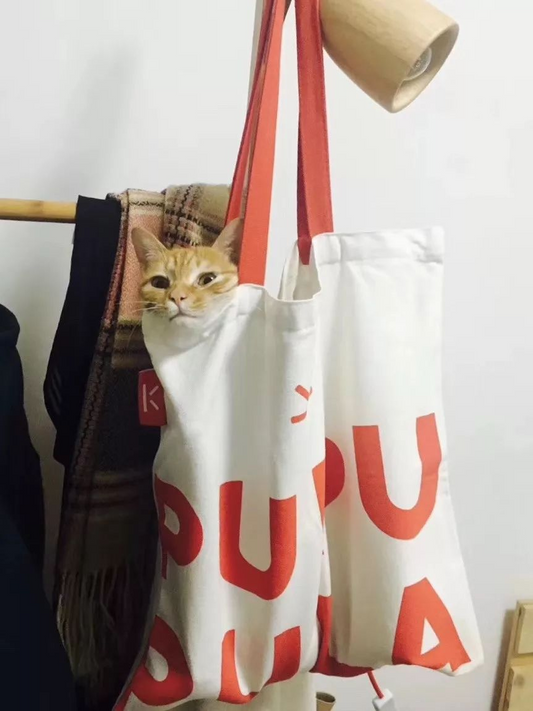 這個帆布包真的是太太太能裝了