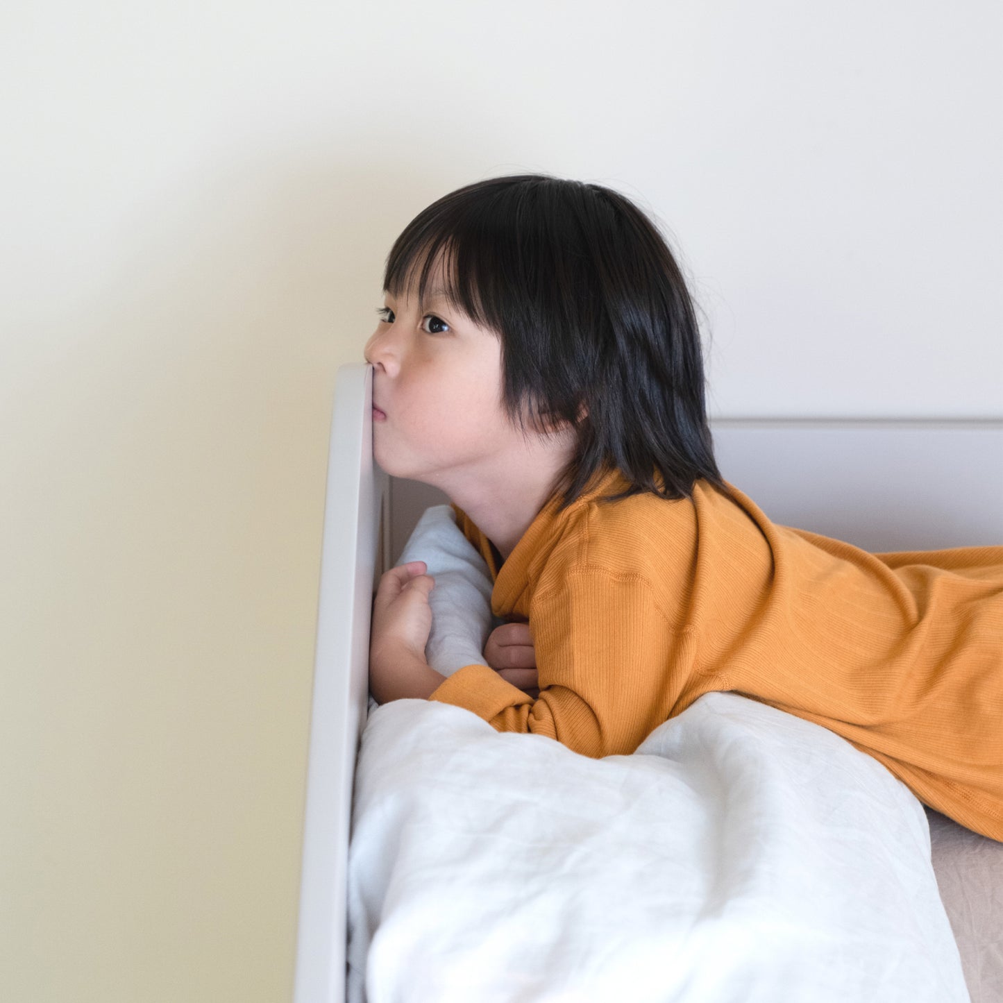 Little House Storage Bed