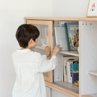 Plus Modular Cabinet